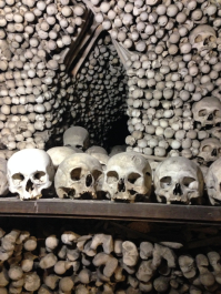 photo 1744655