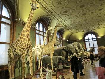 photo 1742693