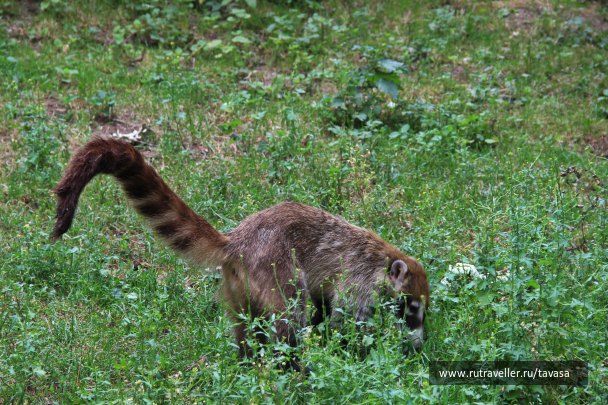 photo 2003315