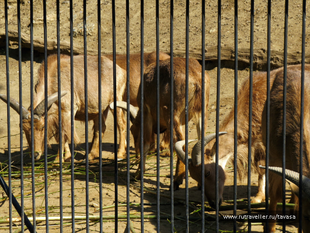 photo 2055127