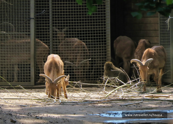 photo 2055128