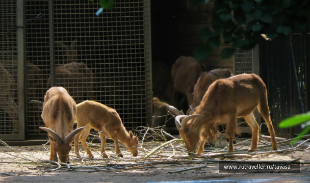 photo 2055306