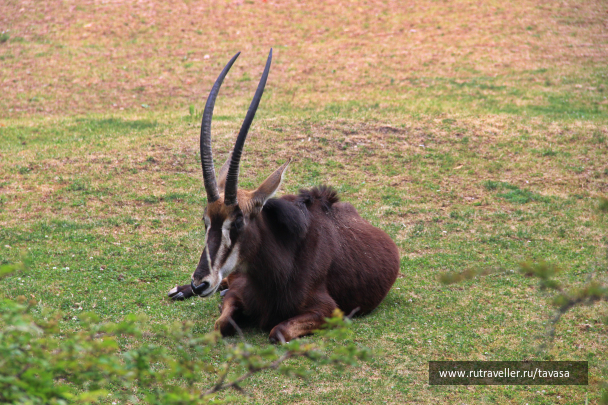 photo 2087688