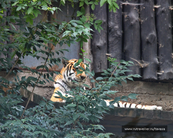 photo 2116554
