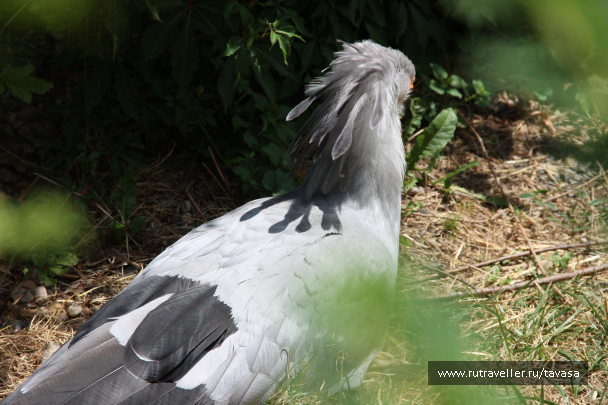 photo 2125999