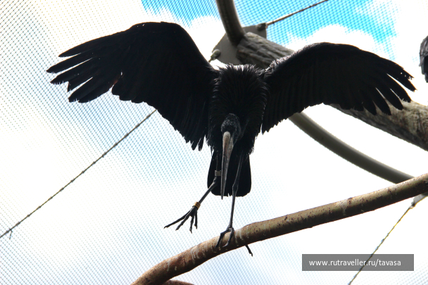 photo 2129148