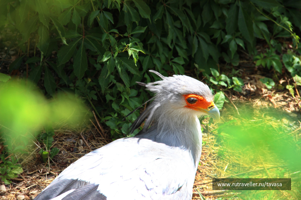 photo 2129150