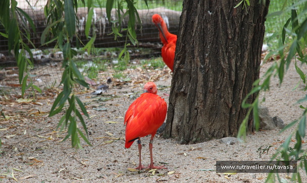 photo 2134015