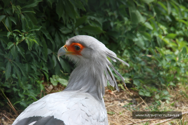 photo 2134577