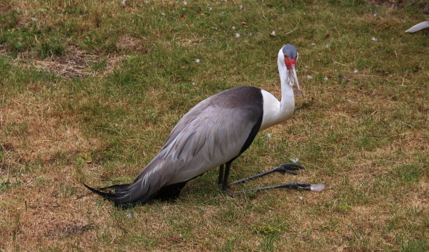 IMG_8957.JPG