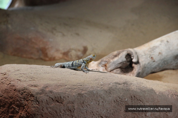 photo 2150964