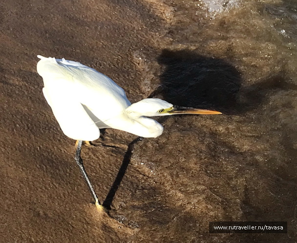 photo 2146603