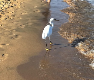 photo 2148582