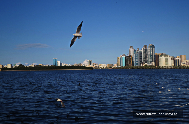 photo 2013472