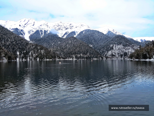 photo 2006110