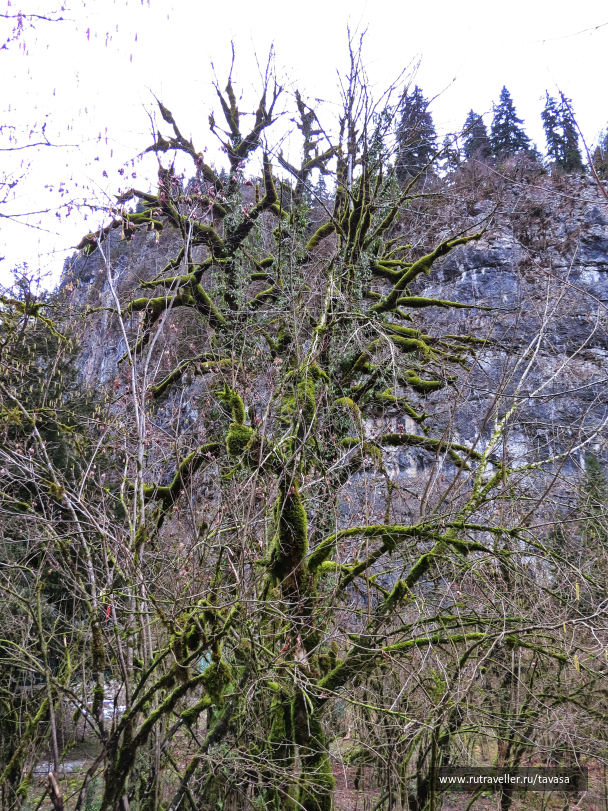 photo 2008811