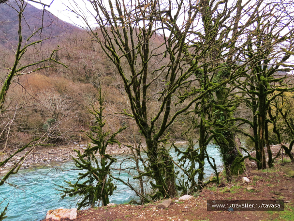 photo 2013469