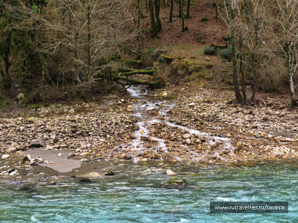 photo 2013638