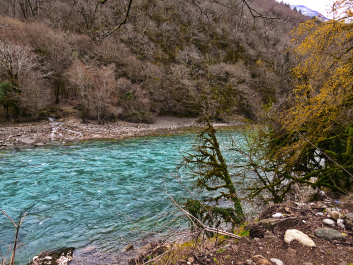 photo 2013799