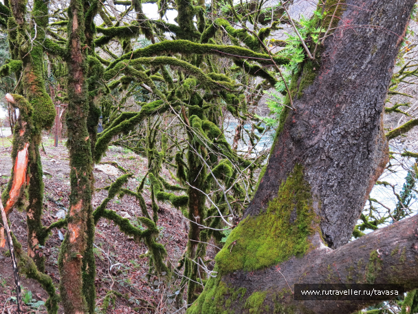 photo 2013864