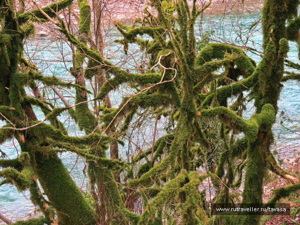 photo 2013865