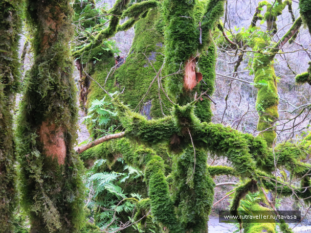 photo 2014006