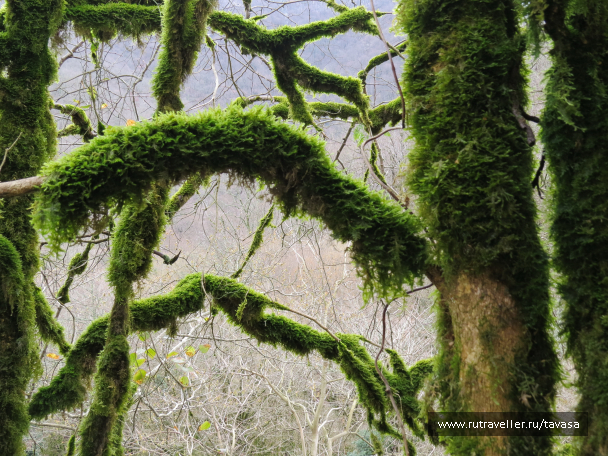 photo 2014007