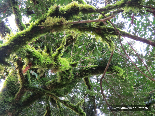 photo 2014168