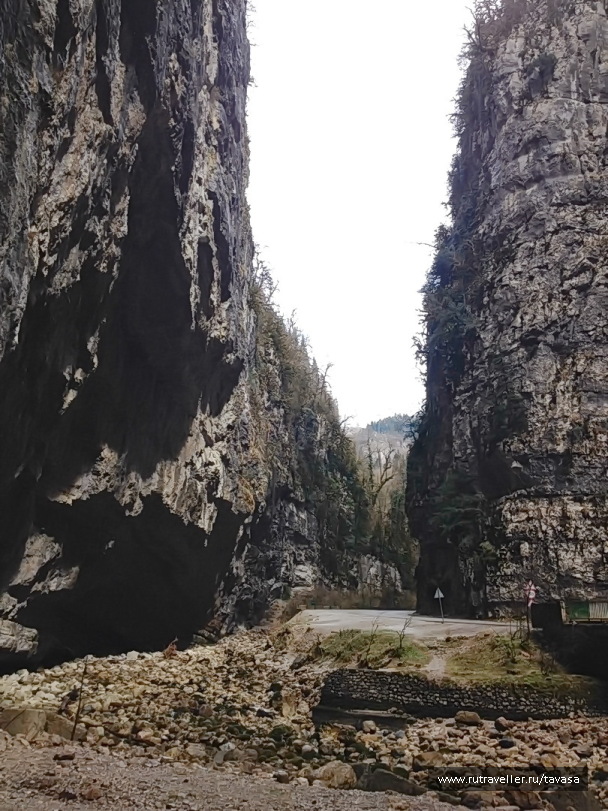 photo 2014169