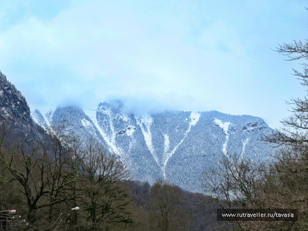 photo 2014370