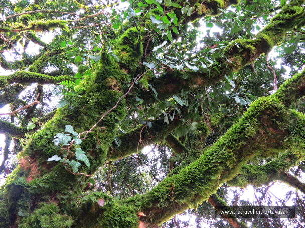 photo 2014371