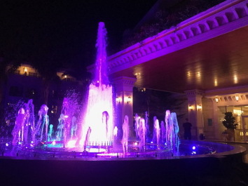 photo 2027568