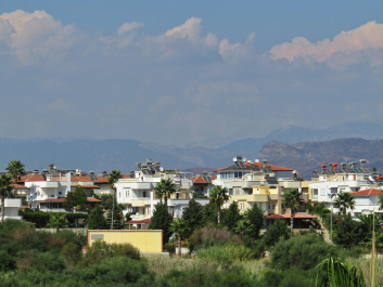 photo 2027142