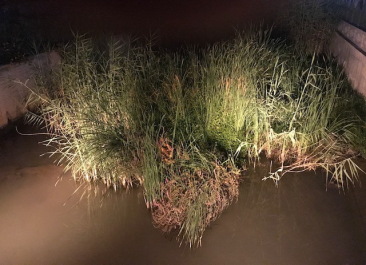 photo 2027254