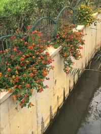 photo 2028502
