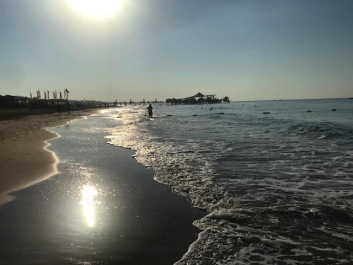photo 2028503