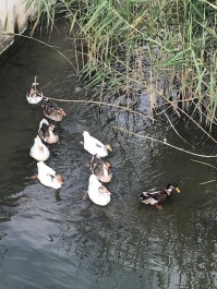photo 2029198