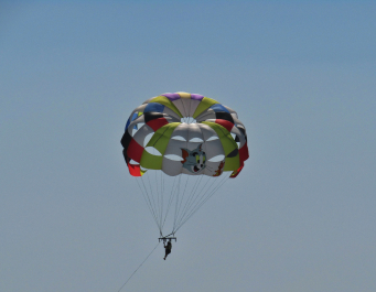 photo 2033502