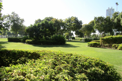 photo 2045217