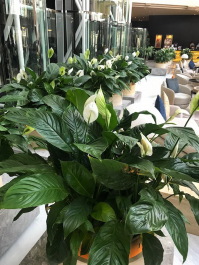photo 2123798