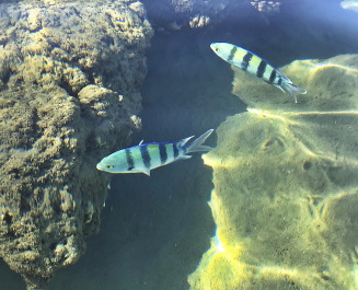 photo 2148524