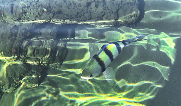 IMG_8160.jpg