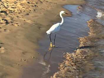 photo 2149167