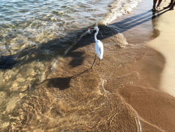 photo 2149168