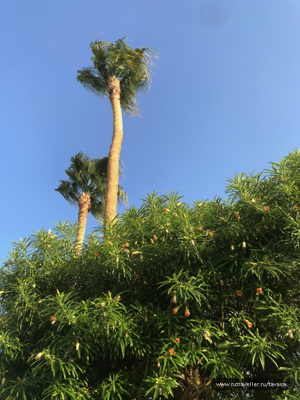 photo 2138438