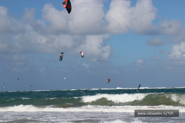 photo 1227629