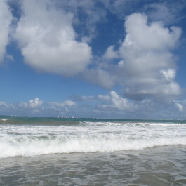 photo 1232032