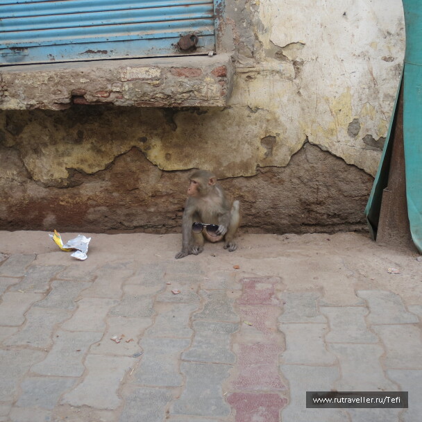 photo 1021513