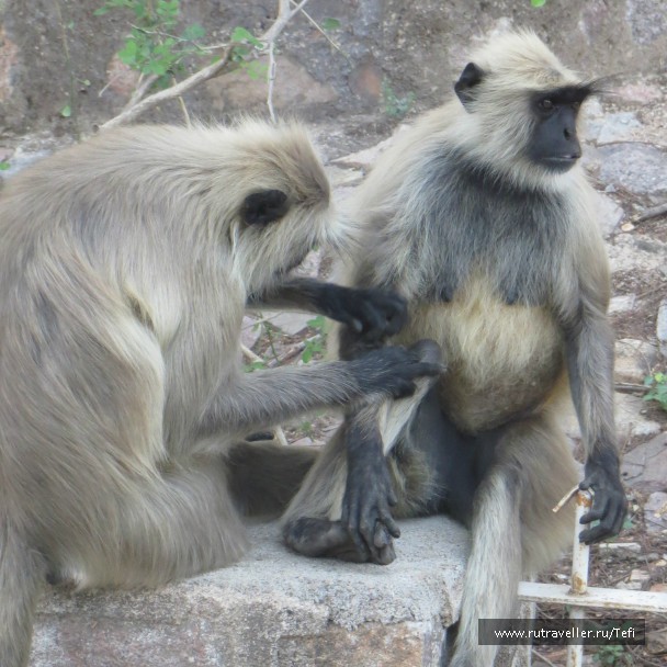 photo 757410