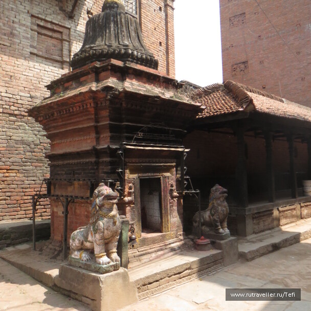 photo 1022573